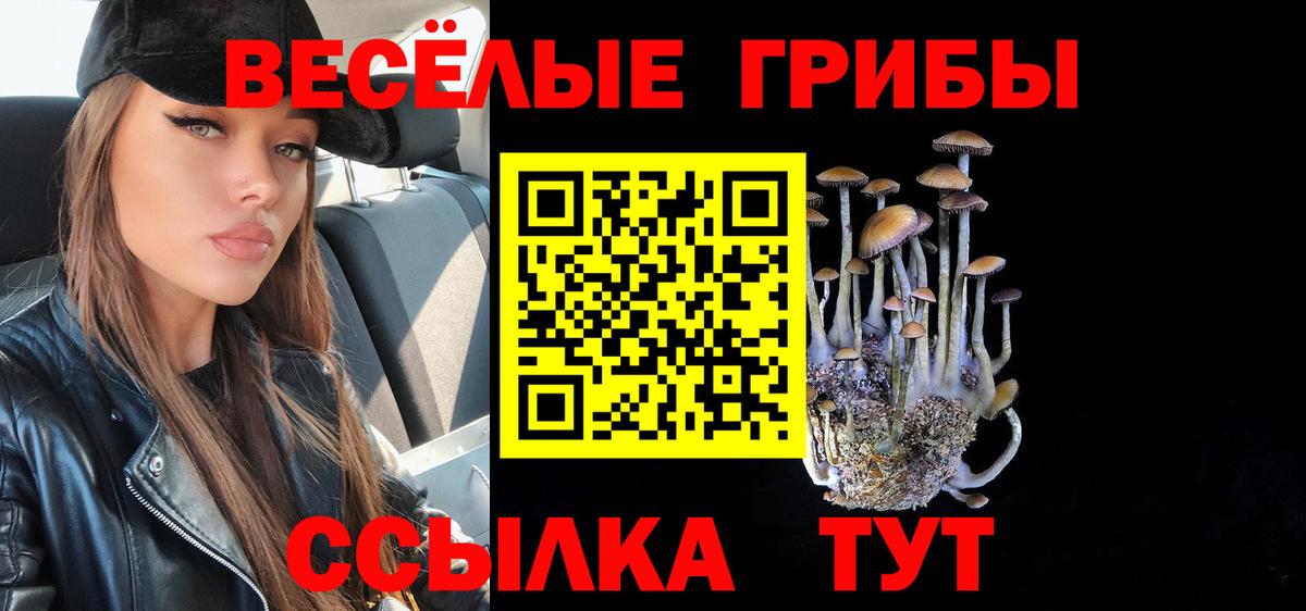 Галлюциногенные грибы Cubensis  Галлюциногенные грибы прущие грибы  Минусинск  что такое   Вход с VPN 